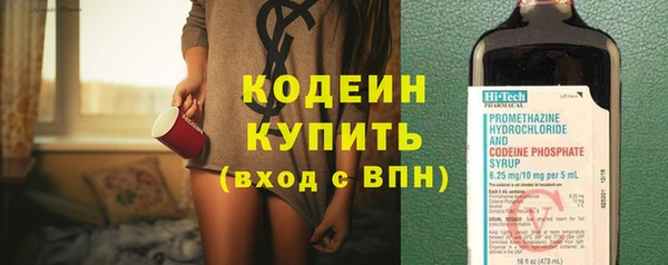 Альфа ПВП Лагань