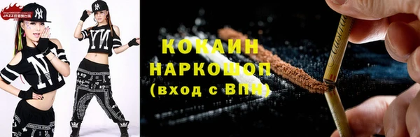 Альфа ПВП Лагань