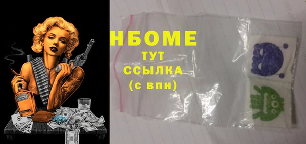 молекула духа Лабытнанги