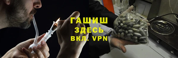 Альфа ПВП Лагань