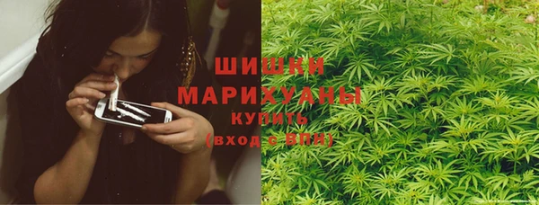 молекула духа Лабытнанги