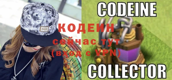 молекула духа Лабытнанги