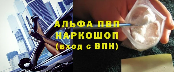 молекула духа Лабытнанги