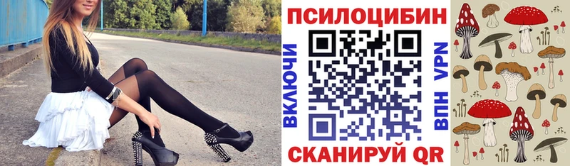 Купить  Краснознаменск  Галлюциногенные грибы Psilocybine cubensis 